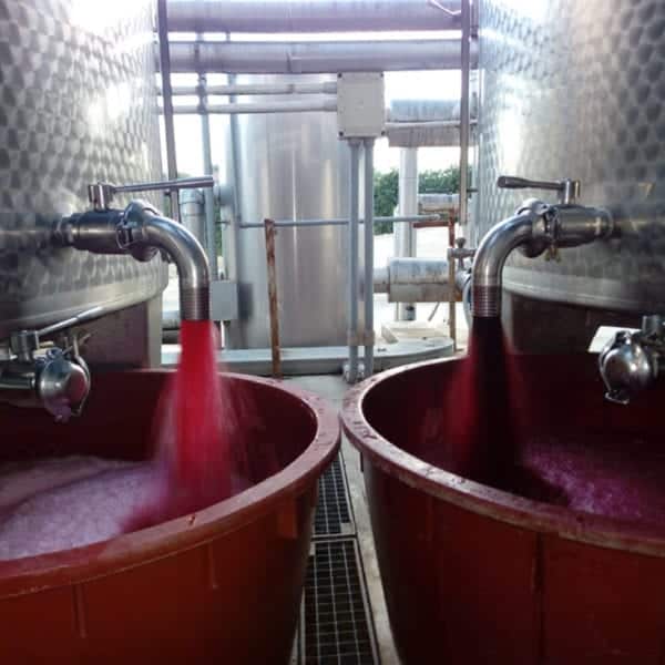 Azienda Vitivinicola Giorni